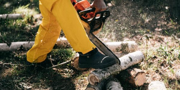 man using a chain saw in cutting a log