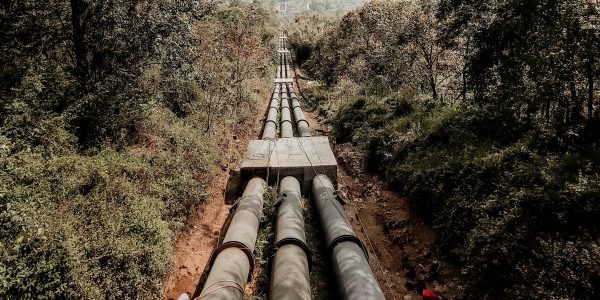 Pipeline in forest
