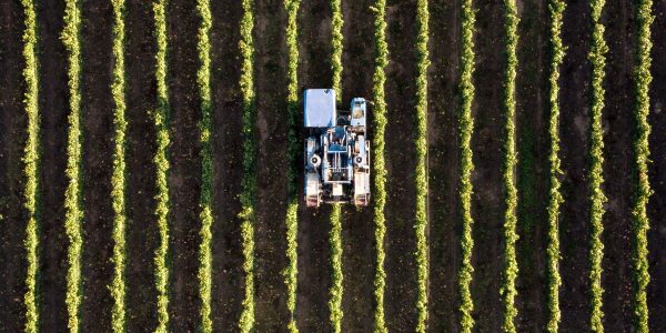 Tractor in Field